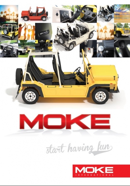 BRG - MOKE
