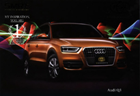 TSL Audi q3